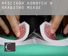 Wyścigów konnych w  Hrabstwo Meade