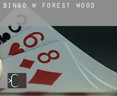 Bingo w  Forest Wood