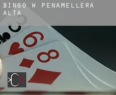 Bingo w  Peñamellera Alta