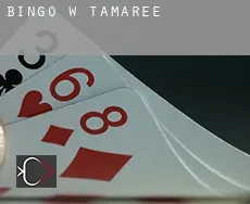 Bingo w  Tamaree