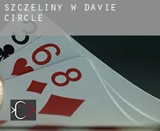 Szczeliny w  Davie Circle