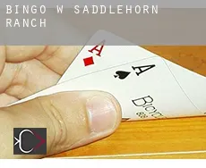Bingo w  Saddlehorn Ranch