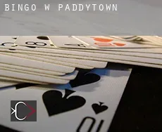 Bingo w  Paddytown