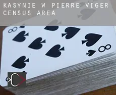 Kasynie w  Pierre-Viger (census area)