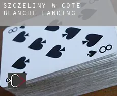 Szczeliny w  Cote Blanche Landing