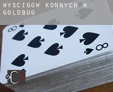 Wyścigów konnych w  Goldbug