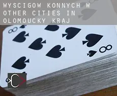 Wyścigów konnych w Other cities in Olomoucky kraj