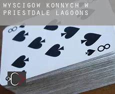 Wyścigów konnych w Priestdale Lagoons