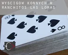 Wyścigów konnych w  Ranchitos Las Lomas