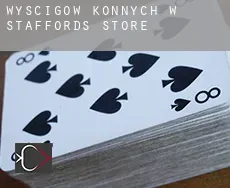 Wyścigów konnych w  Staffords Store