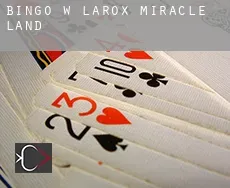 Bingo w Larox Miracle Land