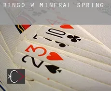 Bingo w  Mineral Spring