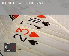 Bingo w  Somerset