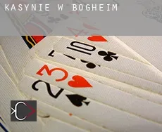 Kasynie w Bogheim