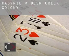 Kasynie w  Deer Creek Colony