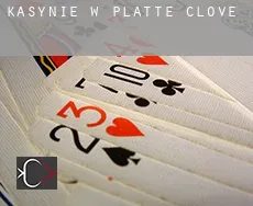 Kasynie w  Platte Clove