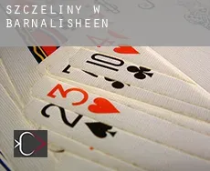 Szczeliny w  Barnalisheen