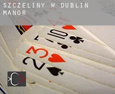 Szczeliny w  Dublin Manor