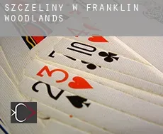 Szczeliny w  Franklin Woodlands