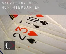 Szczeliny w Hofthiergarten