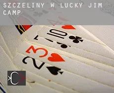 Szczeliny w  Lucky Jim Camp