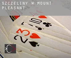 Szczeliny w Mount Pleasant