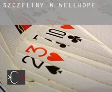 Szczeliny w  Wellhope