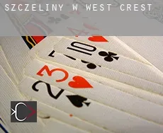 Szczeliny w  West Crest