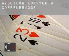 Wyścigów konnych w Coppenbrügge