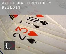 Wyścigów konnych w  Deblois