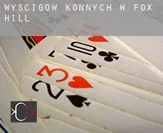 Wyścigów konnych w Fox Hill