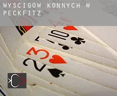 Wyścigów konnych w Peckfitz