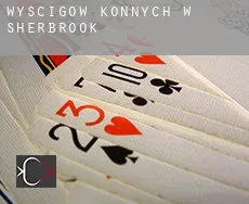 Wyścigów konnych w Sherbrook