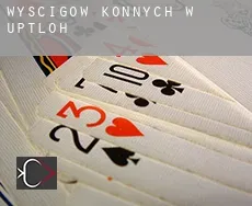 Wyścigów konnych w Uptloh