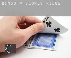 Bingo w  Slones Ridge
