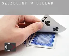 Szczeliny w  Gilead