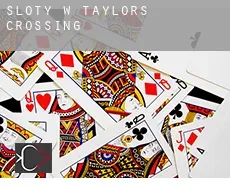 Sloty w Taylors Crossing