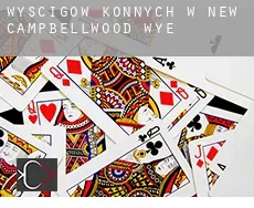 Wyścigów konnych w  New Campbellwood Wye