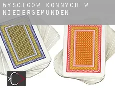 Wyścigów konnych w  Niedergemünden