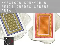 Wyścigów konnych w  Petit-Québec (census area)