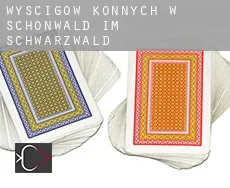 Wyścigów konnych w Schönwald im Schwarzwald