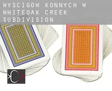 Wyścigów konnych w  Whiteoak Creek Subdivision