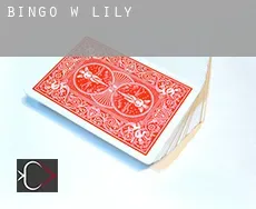 Bingo w  Lily