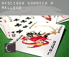 Wyścigów konnych w  Malleco