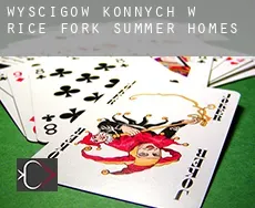 Wyścigów konnych w  Rice Fork Summer Homes
