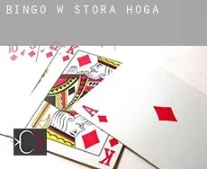 Bingo w  Stora Höga