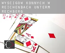 Wyścigów konnych w Reichenbach unterm Rechberg