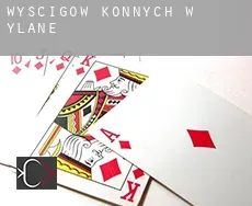 Wyścigów konnych w  Yläne