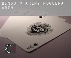 Bingo w Areny de Noguera / Arén