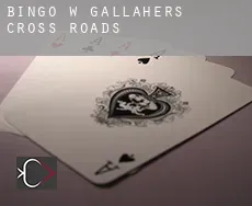 Bingo w Gallaher’s Cross Roads